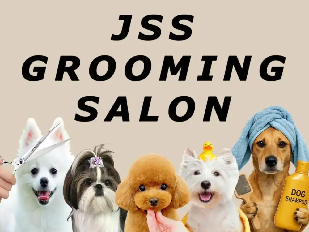 Groomer groomers pria wanita pengalaman basic
