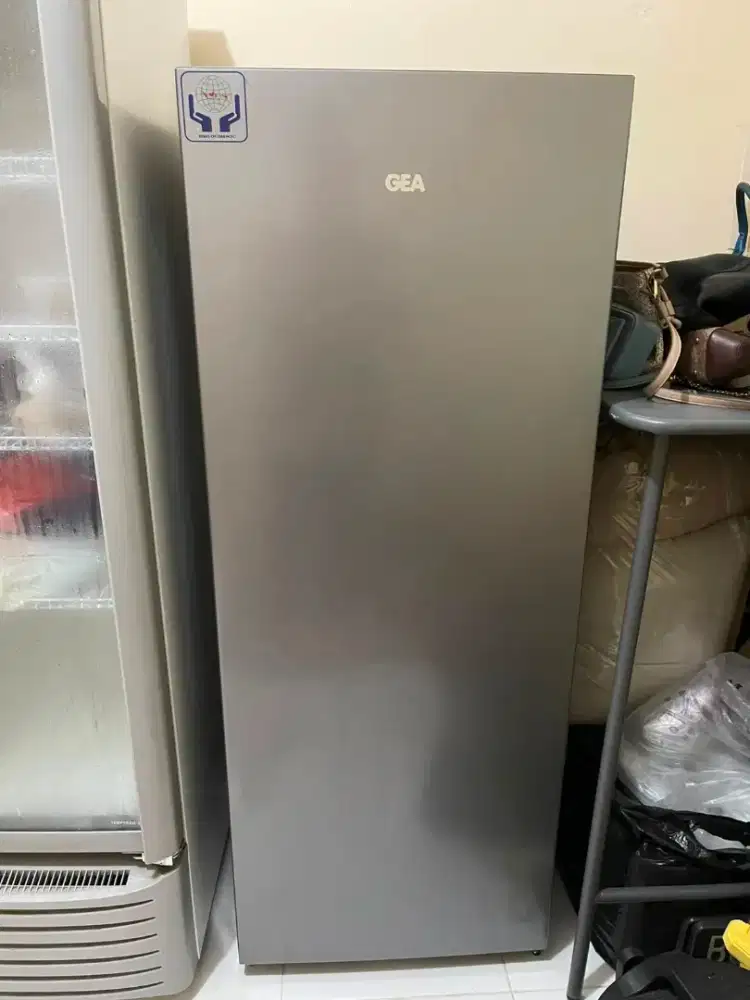 FREEZER GEA (GF-24DC)