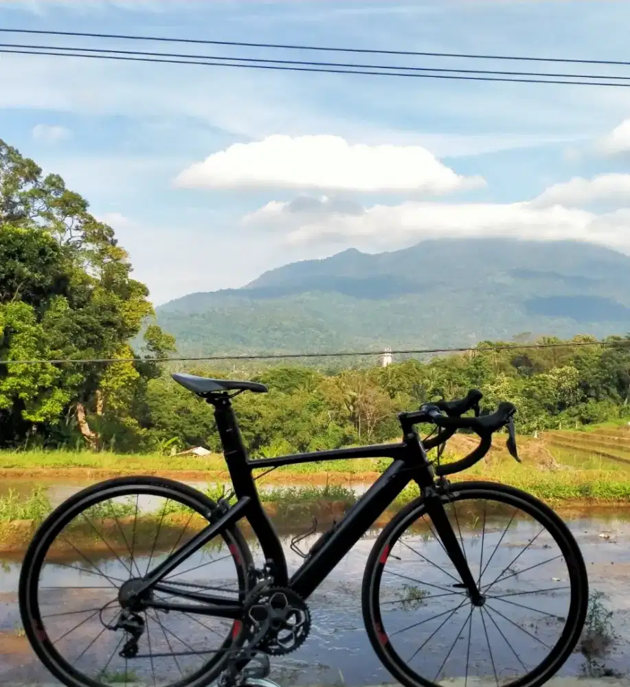 Sepeda roadbike element frc85