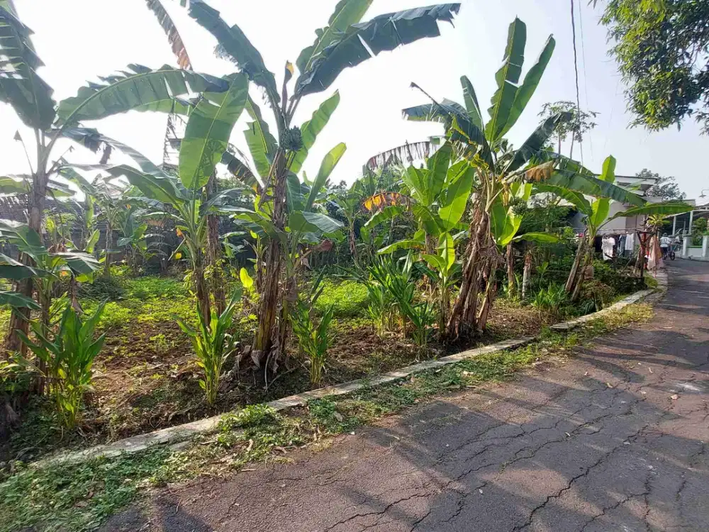 tanah murah jantung Ungaran deket tol cocok hunian atau kos2an