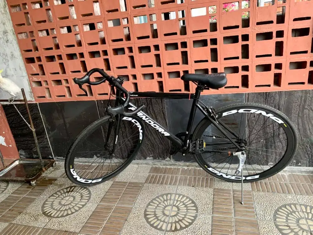 sepeda pandora second