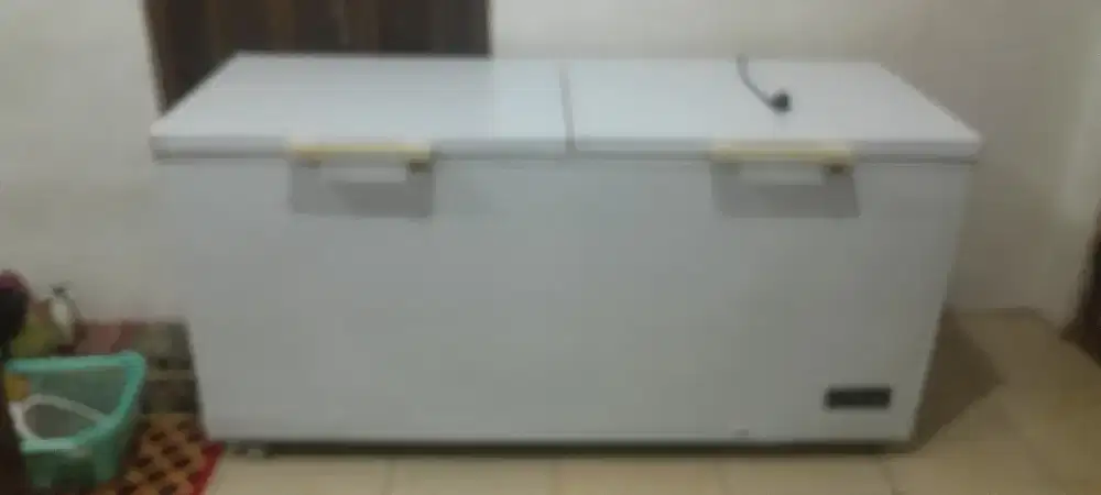 Freezer Box RSA 600L