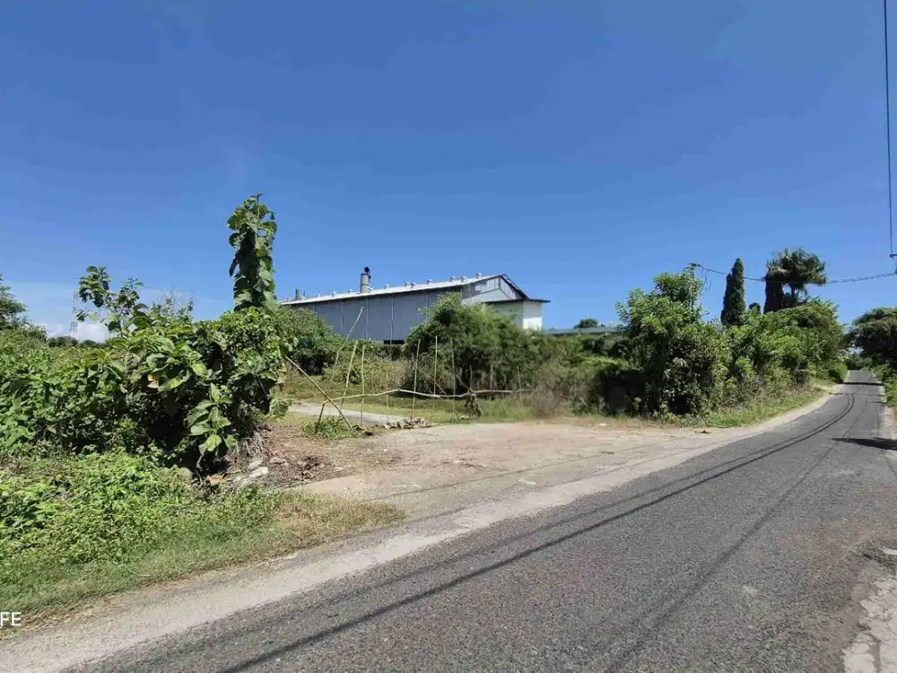 TANAH INDUSTRI 97 ARE PINGGIR JALAN DI PENGAMBENGAN JEMBRANA