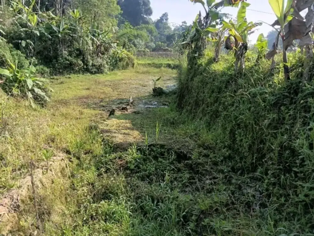Dijual lahan luas 1200m.surat SHM.harga.175jt nego