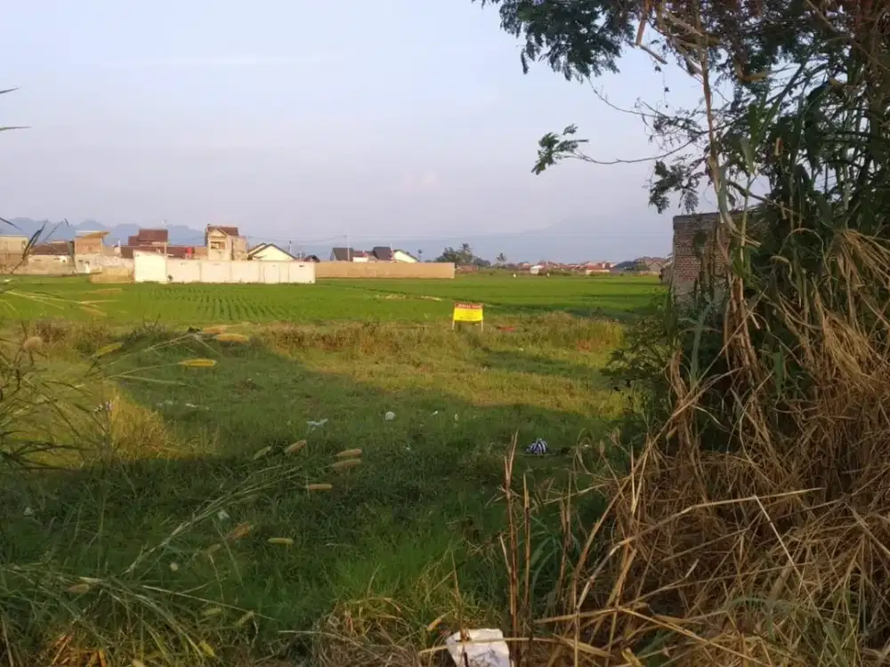 Dijual Cepat Tanah Lokasi Strategis Cocok Untuk Usaha Di Ketapang Bandung