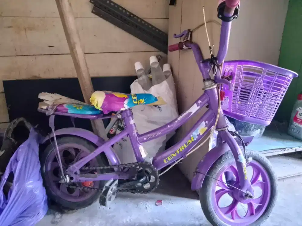 Sepeda anak ungu