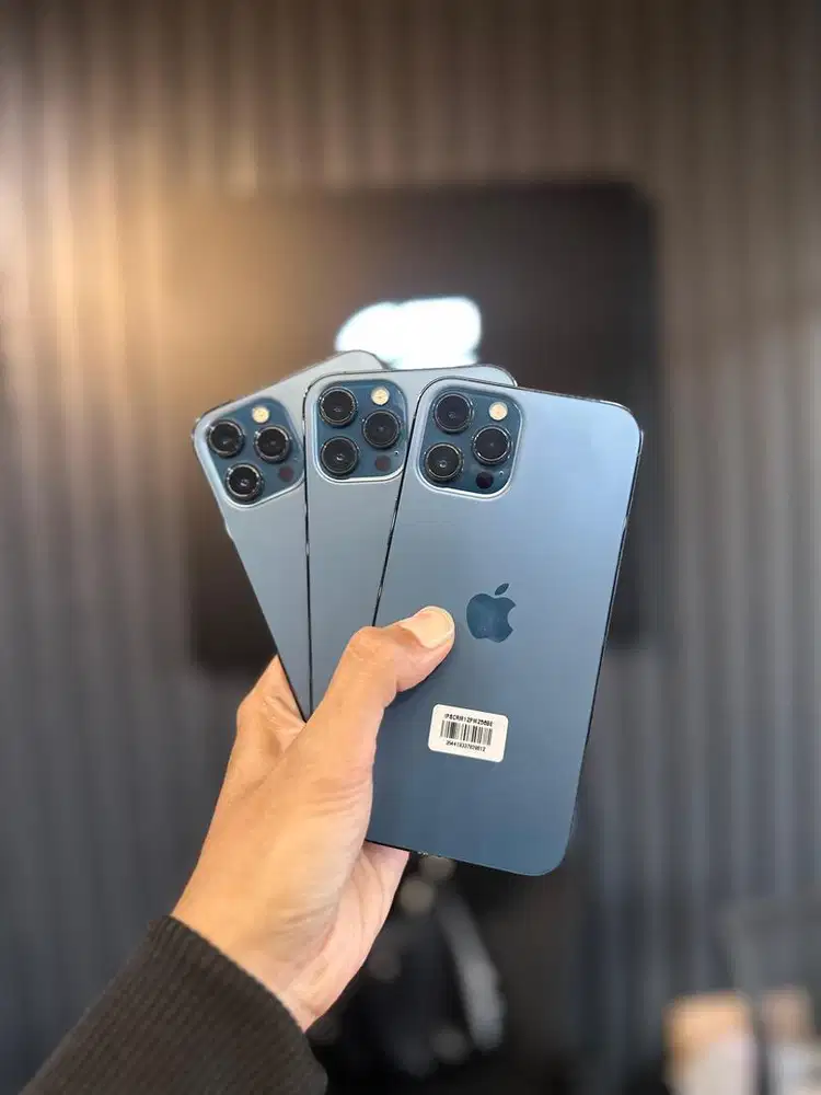 12 PROMAX 128 & 256GB, GARANSI IBOX