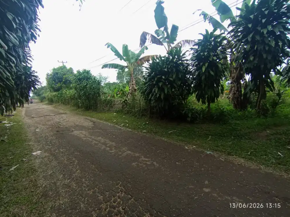 Dijual lahan kebun.luas.2526m.surat SHM.harga.Rp.260ribu/m nego