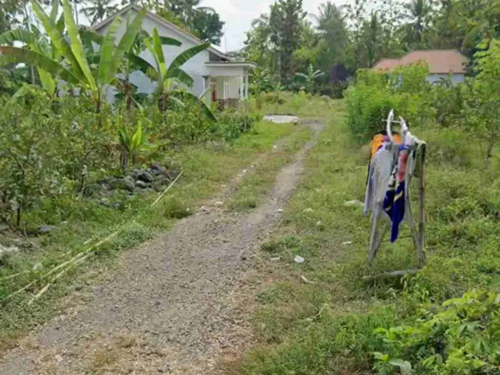 Dijual Tanah Kavling Di Klatakan Tanggul Jember Jawa Timur