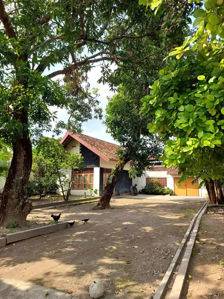 Rumah Klasik Strategis Halaman Luas dekat Malioboro