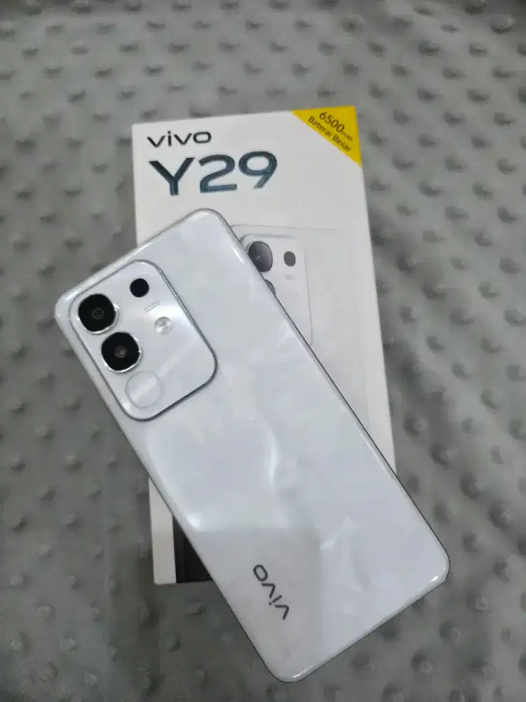 Vivo Y29 8+8 256GB