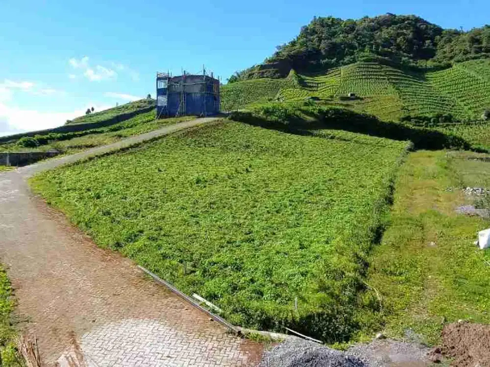 KAVLING EKSLUSIF MALINO DEKAT KEBUN TEH VIEW SANGAT INDAH