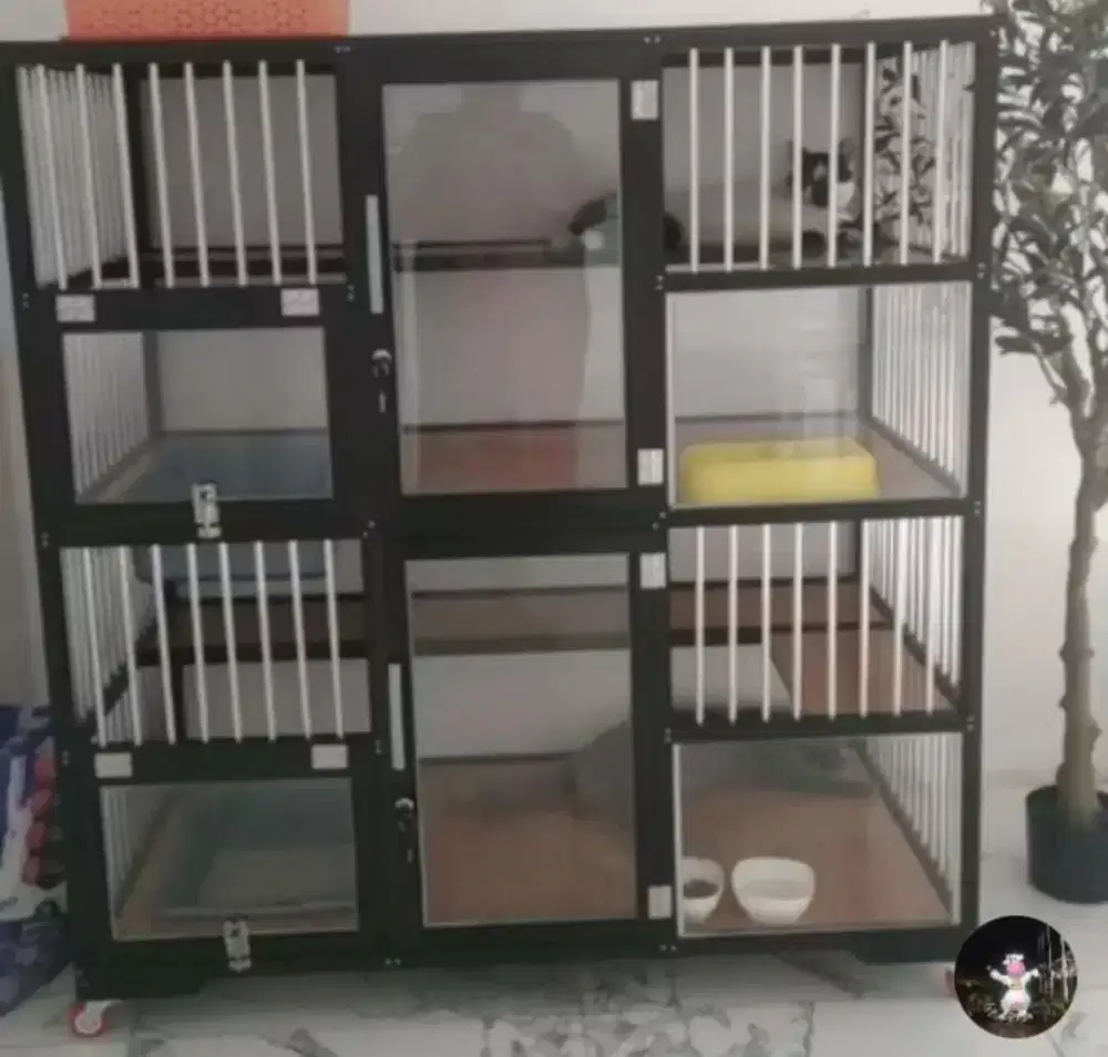 Kandang kucing 2 ruang