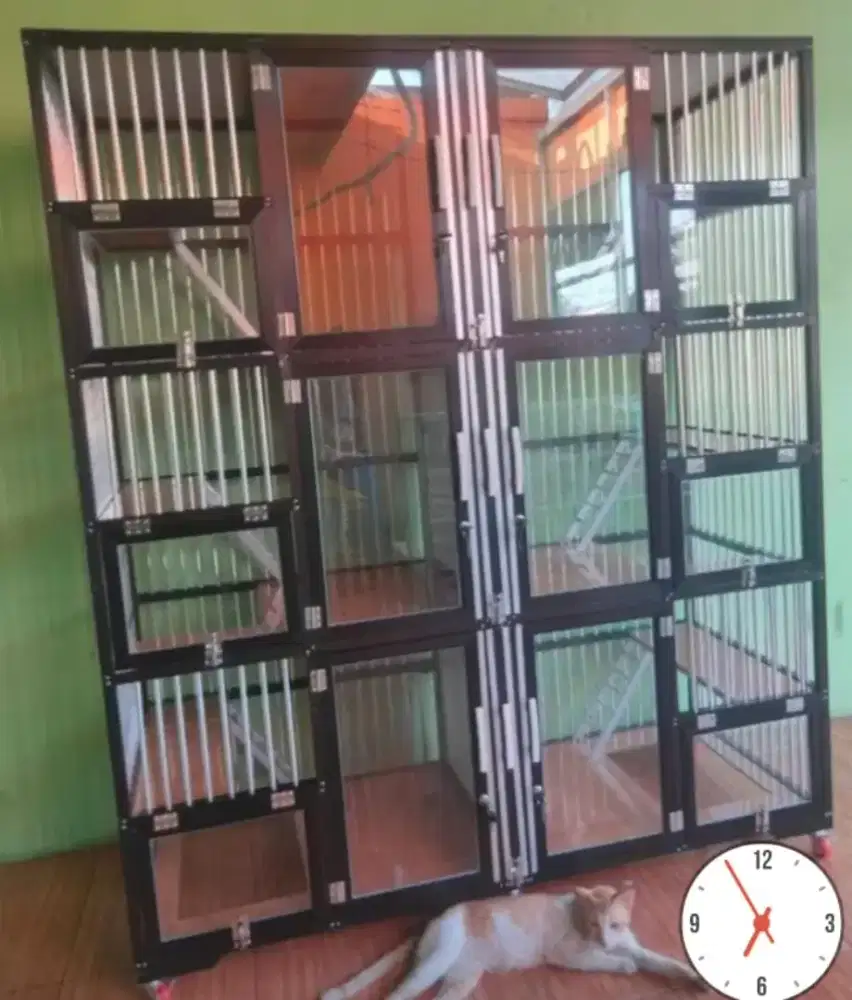 KANDANG 6 RUANG