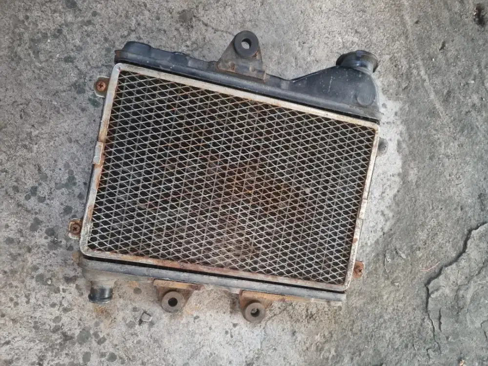 Radiator Ninja r Original