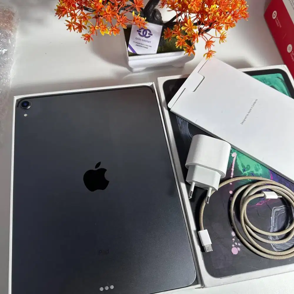 IPAD PRO (11-inch) 256GB WIFI SPACE GRAY GGNKD6L