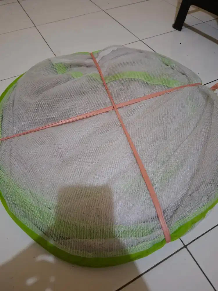Di jual kelambu hijau buat anak2 supaya terhindar dari nyamuk DBD