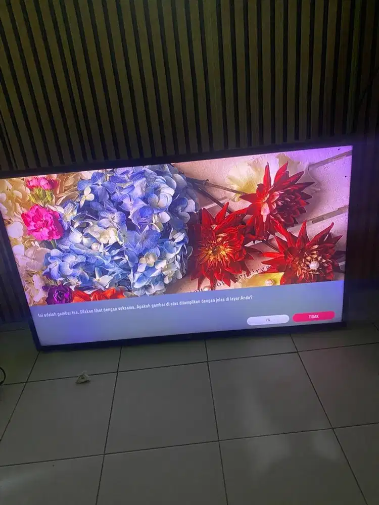 Tv led LG 49 no minus