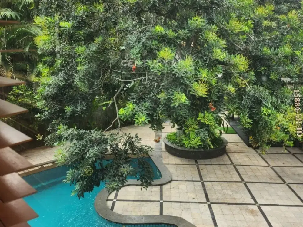 Rumah Asri Dengan Tanah Luas ada kolam renang strategis di Fatmawati