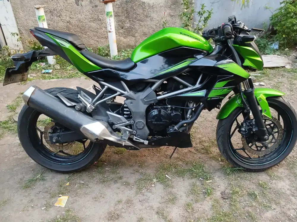 Ninja mono 250l