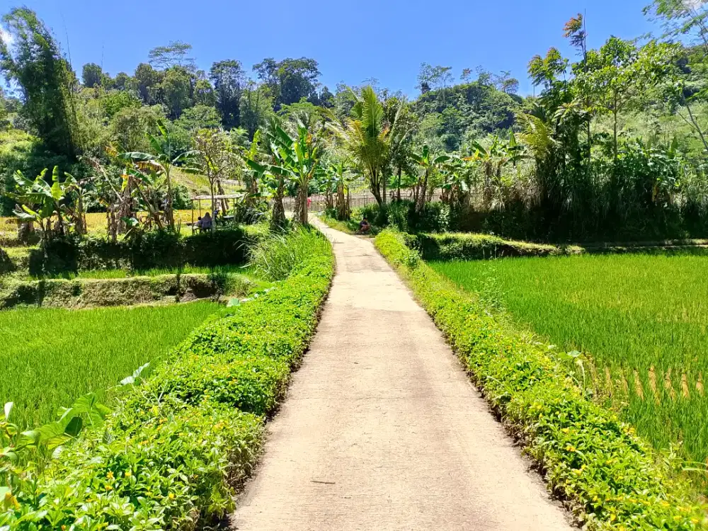 Dijual lahan sawah dan daratan.luas 17000m.surat SHM.