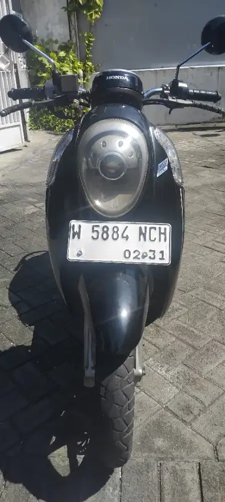 Honda scoopy 2016