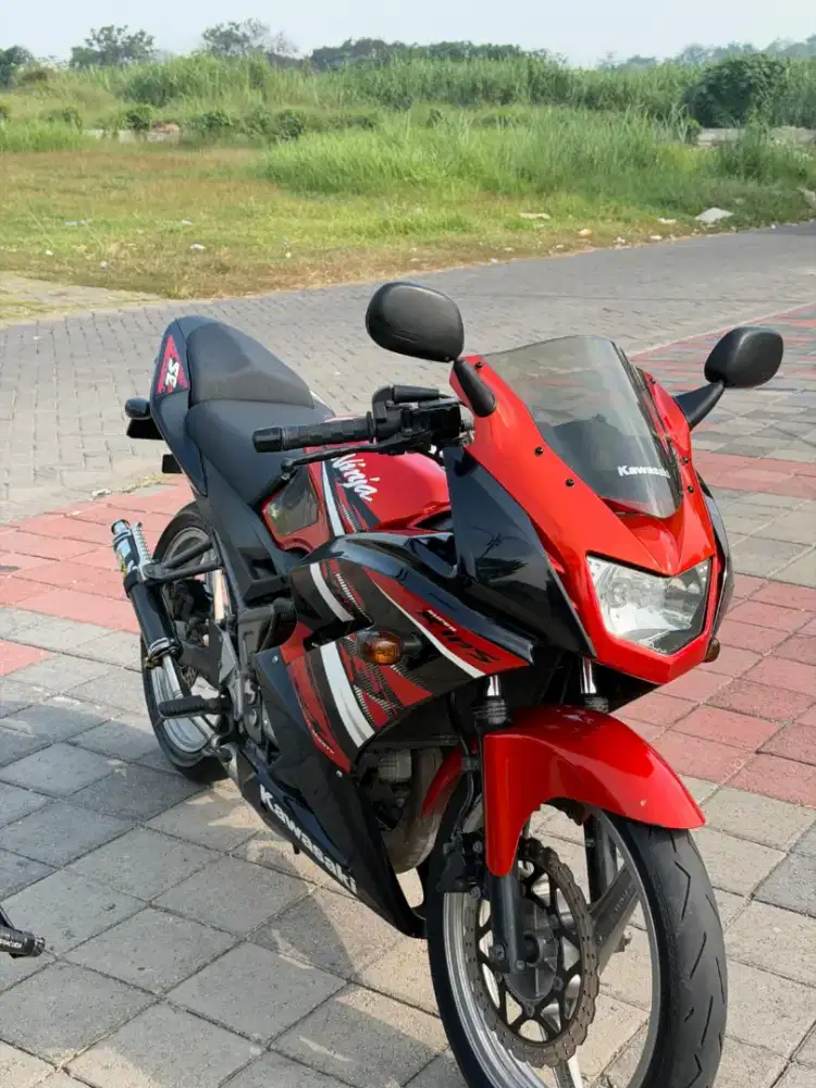 Ninja RR New Spesial Edition (SE)