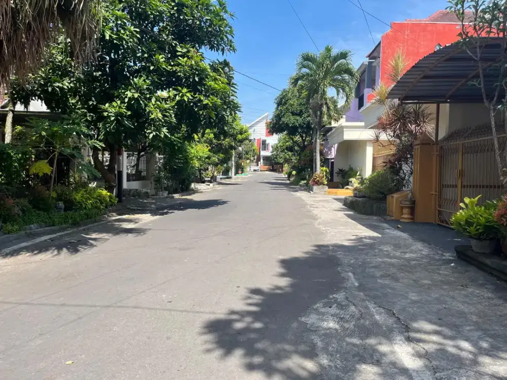 Tanah Murah Jalan Bunga Bunga Dekat Suhat