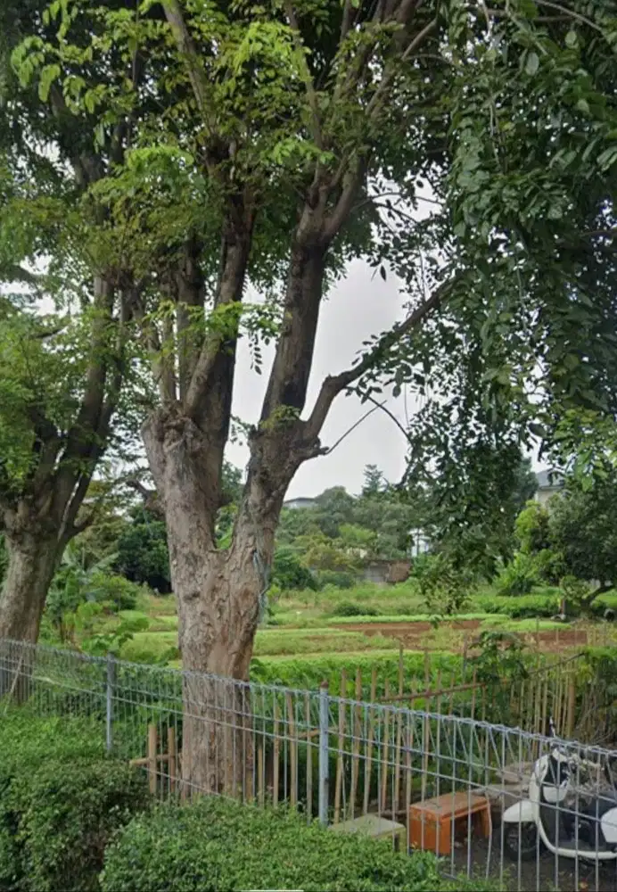 DIJUAL TANAH TANPA PERANTARA DI KEMBANGAN UTARA