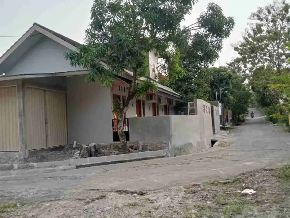 Kost Dan Ruang Usaha Dekat Kampus UMY