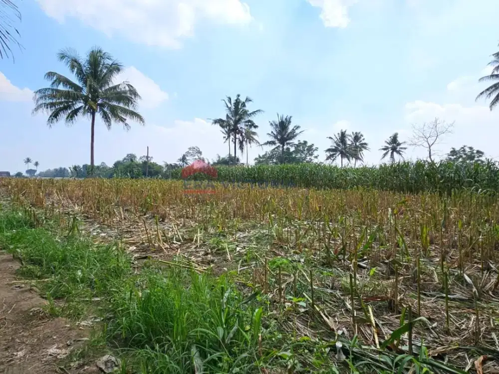 Tanah Dijual Sumberpasir Pakis Malang Strategis Dekat SPBU Cocok Investasi