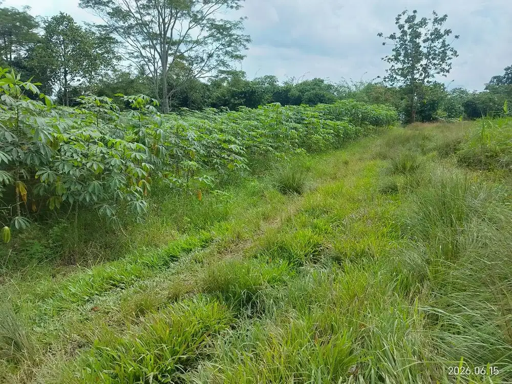 Dijual tanah dekat ITERA