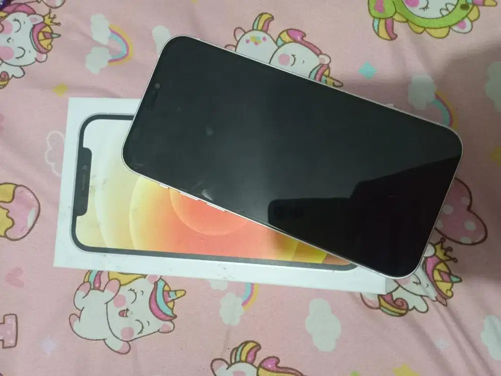 Jual ip 12 basic inter 64gb