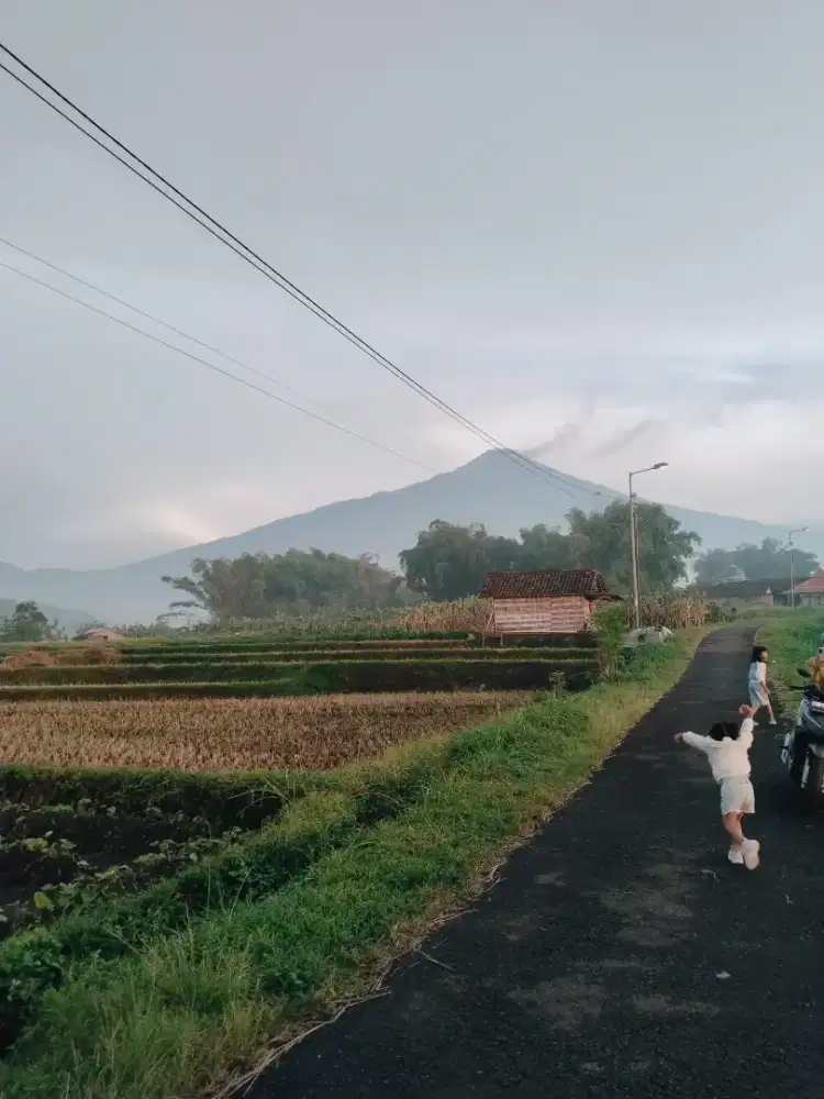 Tanah pacet view,dekat pusat wisata pacet