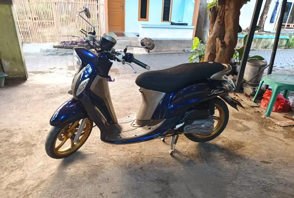 Fino Grande 2018 Blue core