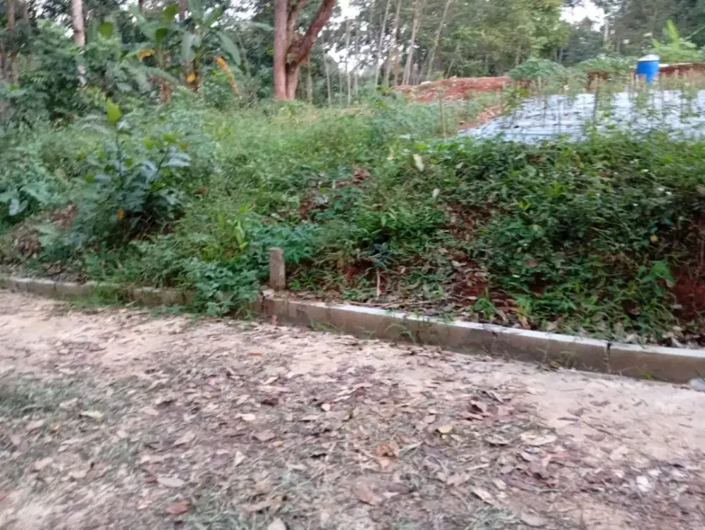 Tanah pakintelan unnes shm ready siap bangun disemarang