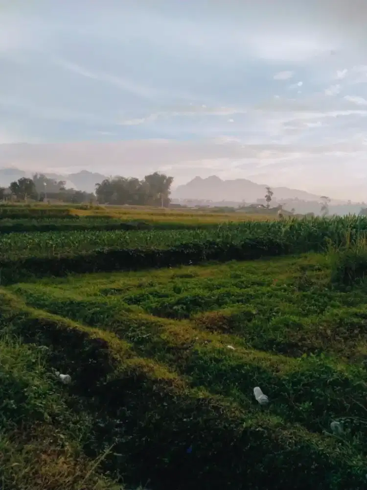 Tanah pacet kesiman tengah zona kuning view bagus