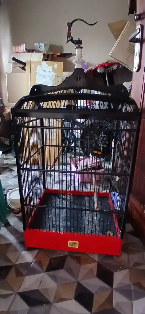 Sangkar burung oriq