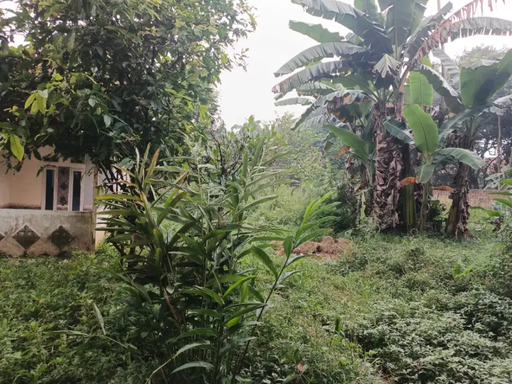 DIJUAL TANAH STRATEGIS – PARUNG, BOGOR