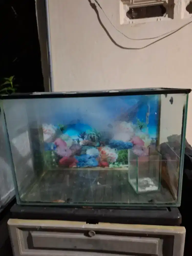 Aquarium..dijual