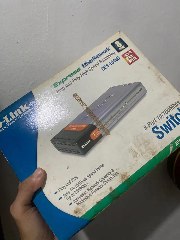 Ethernetwork D-link