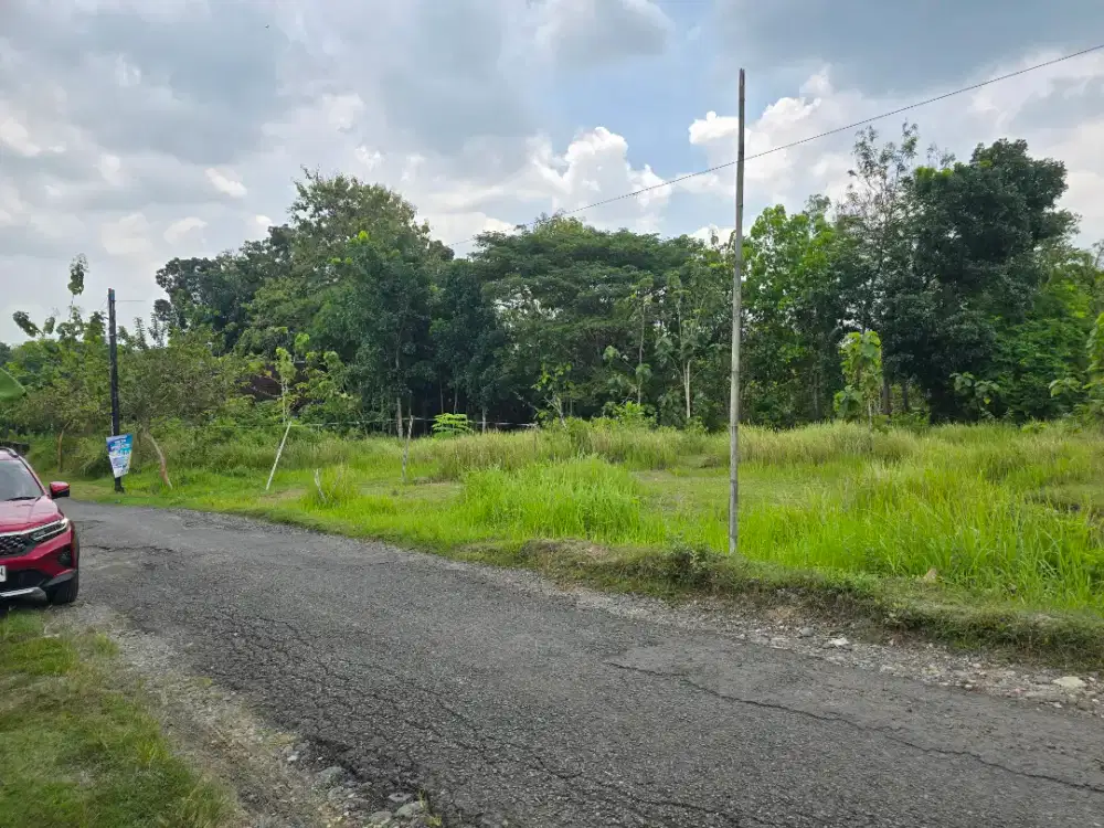 Tanah murah cocok untuk perumahan, homestay, villa dll
