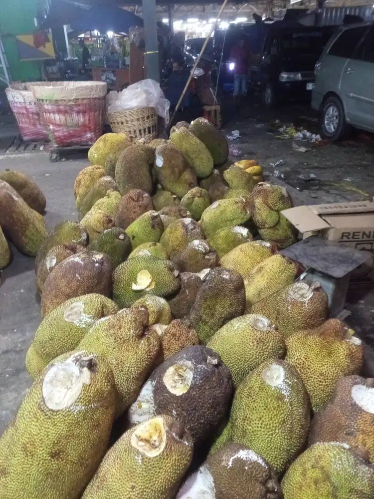 UD. Nangka jawa