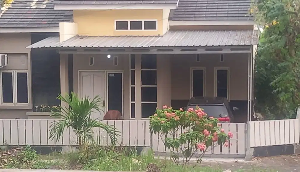 Disewakan rumah dekat UNDIP 3 jt/bl