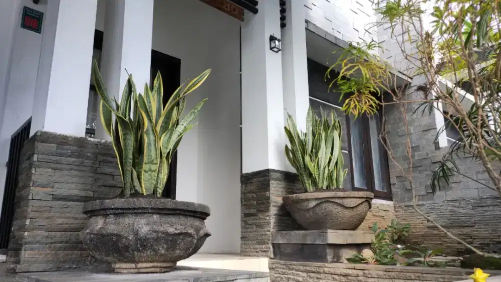 Rumah disewakan
