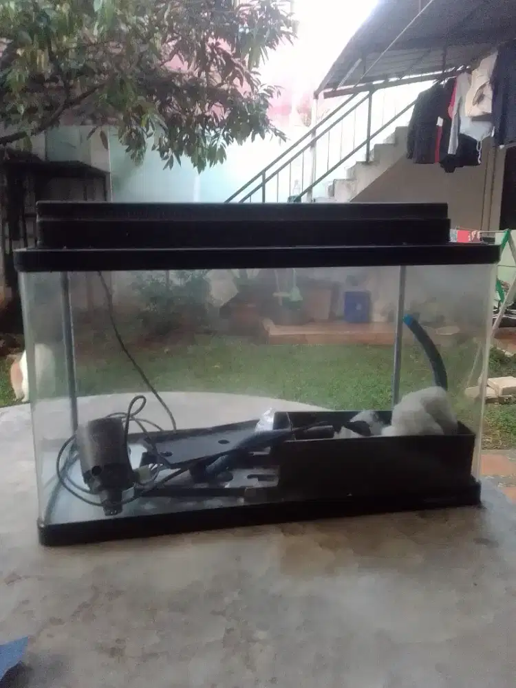 Aquarium bending nisso 60cm