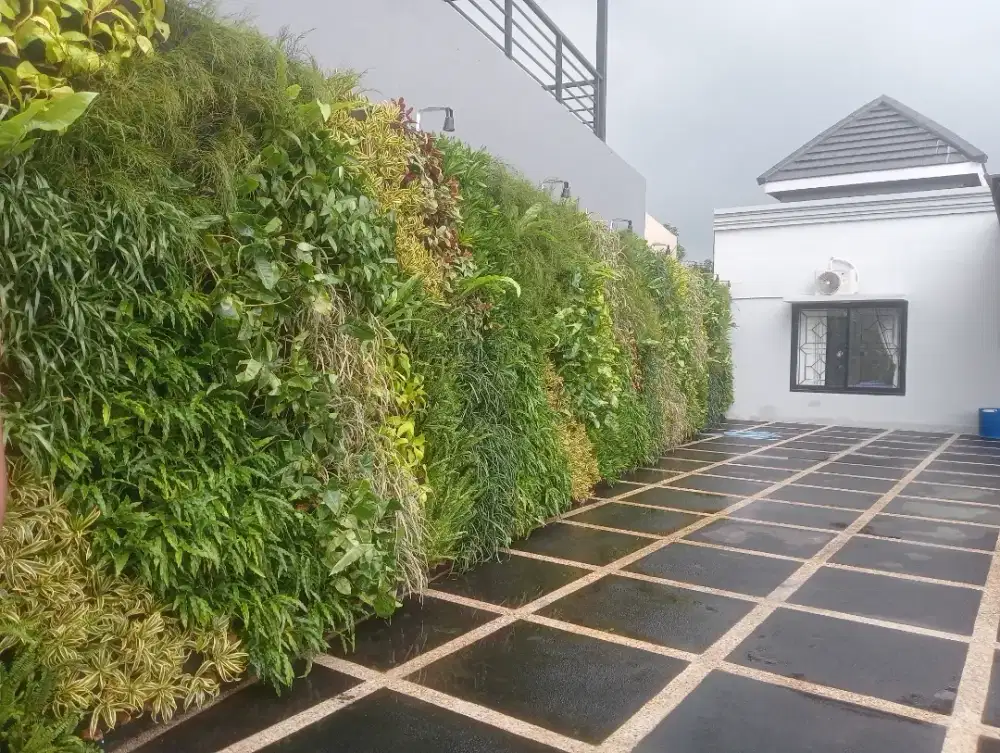 Jual Vertical garden pohon asli
