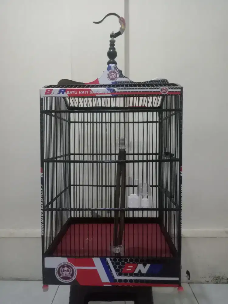 Sangkar Burung No 1