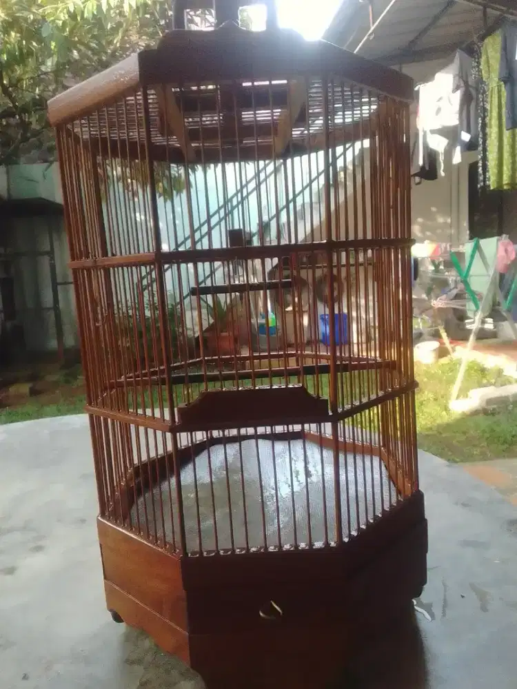 Kandang jati burcil