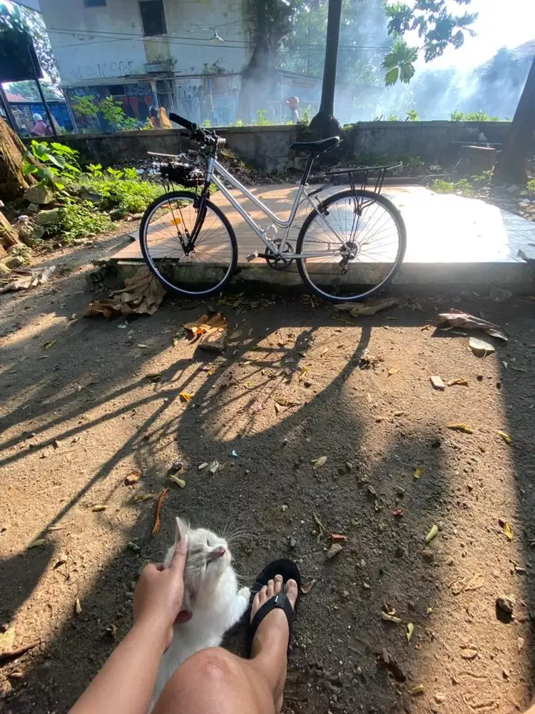 lady bike comuter polygon